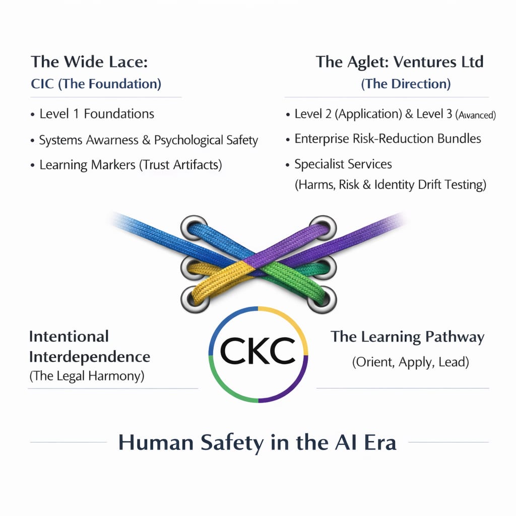 The Shoelace Approach - CKC Cares Structure